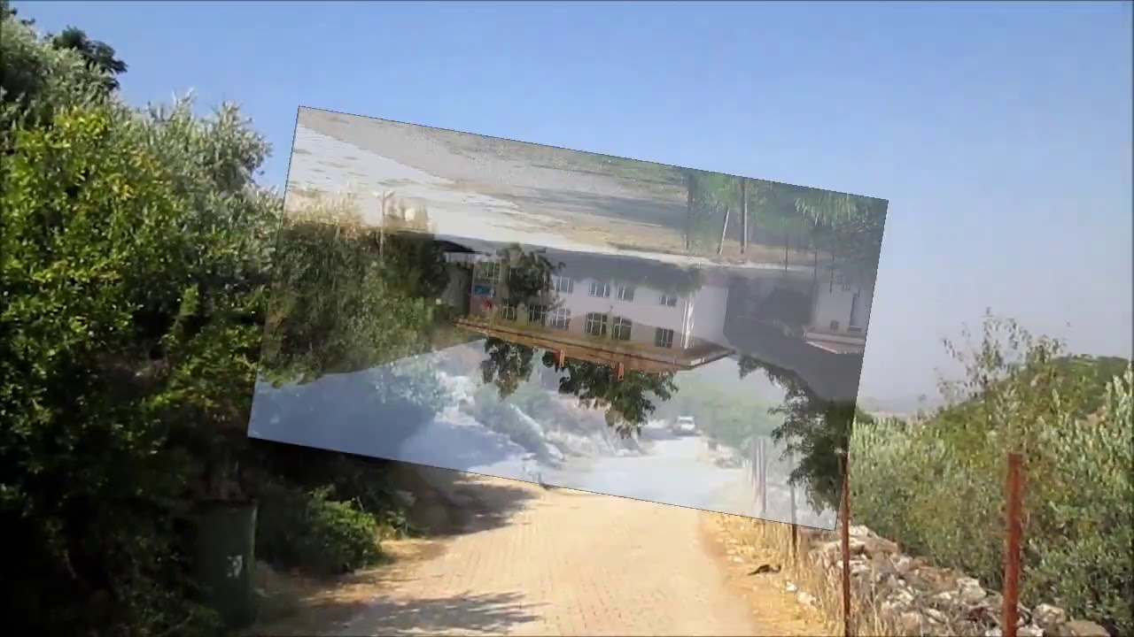 KÜRECİ HASSA HATAY