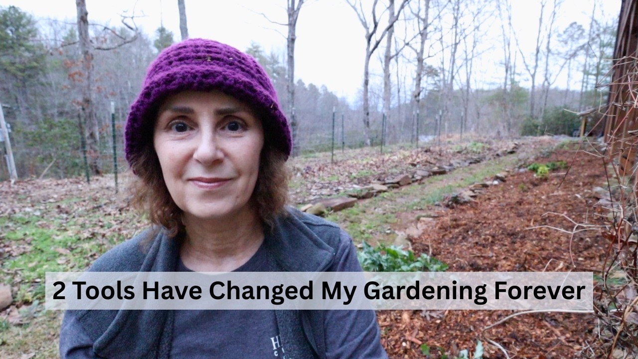 I Should Have Been Doing This All Along | Missing Granny