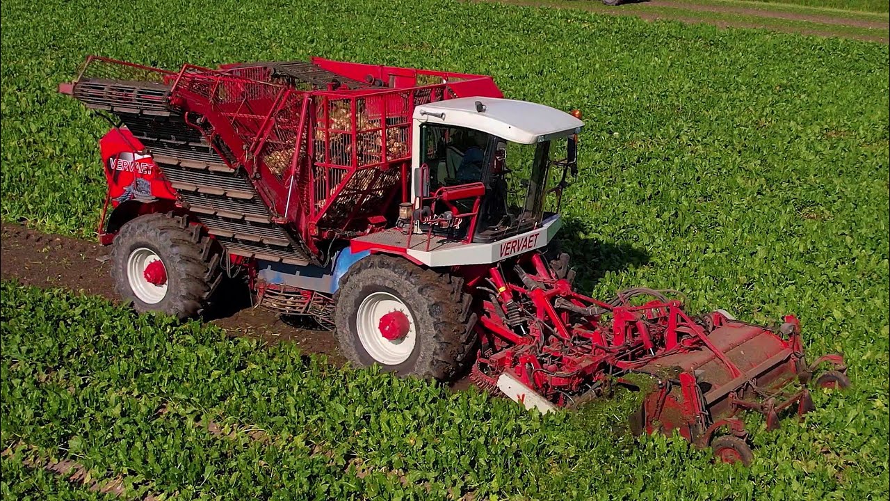 Suikerbieten rooien | Sugarbeet harvest | Vervaet Beet Eater 617 | Zuckerrüben roden