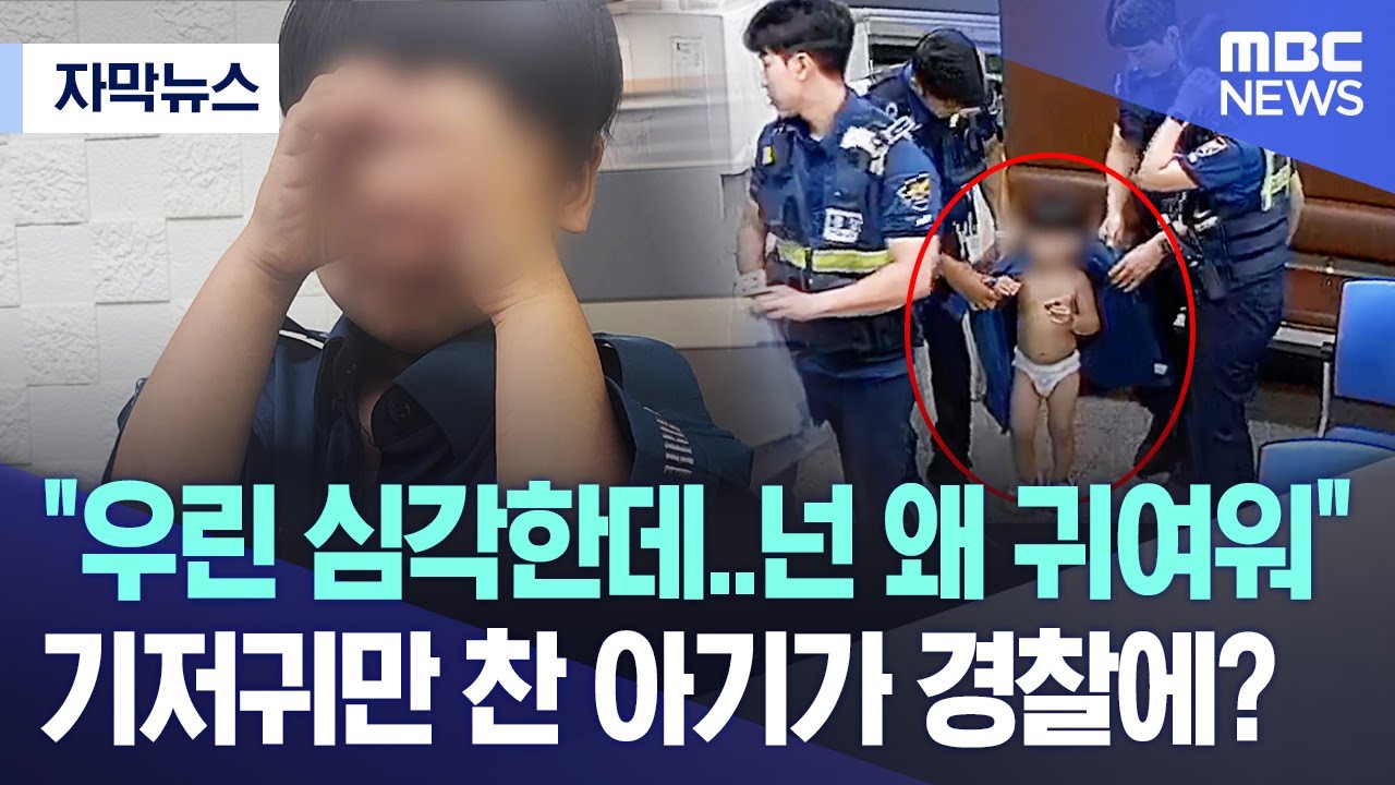 [자막뉴스] 
