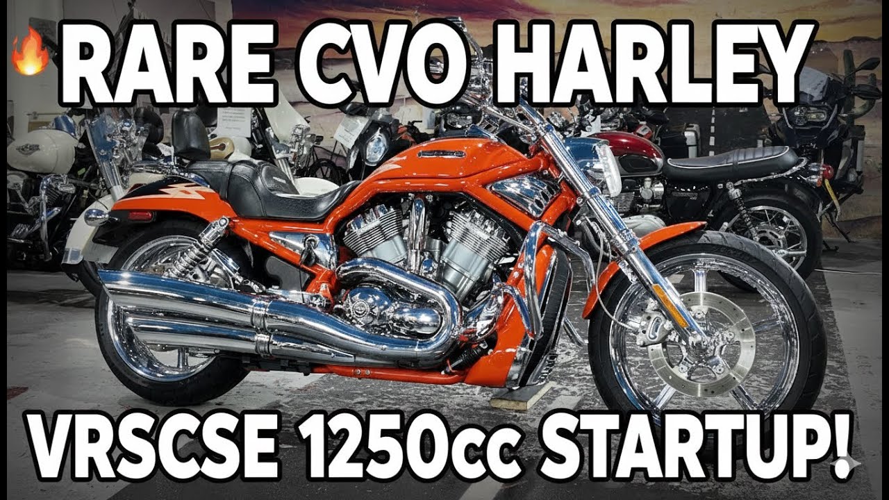 Редкий мотоцикл Harley VRSCSE V-Rod 1250cc: запуск и обзор (без изменений) | CVO Muscle Bike