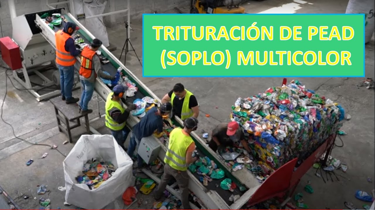 TRITURACIÓN DE PEAD (SOPLADO) MULTICOLOR / CRUSHING HDPE (BLOWN)/ TRITURAÇÃO DE PEAD (SOPRO)