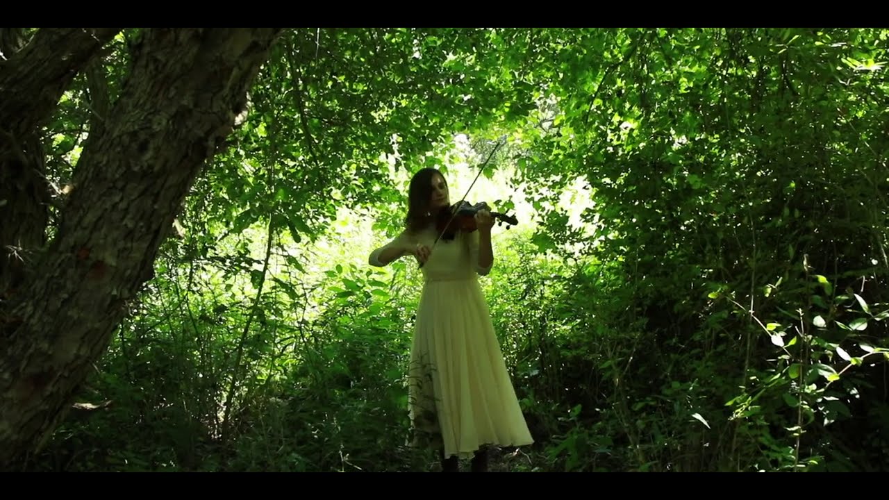 This is My Father's World | Peaceful and Relaxing Instrumental Hymn - Taryn Harbridge
