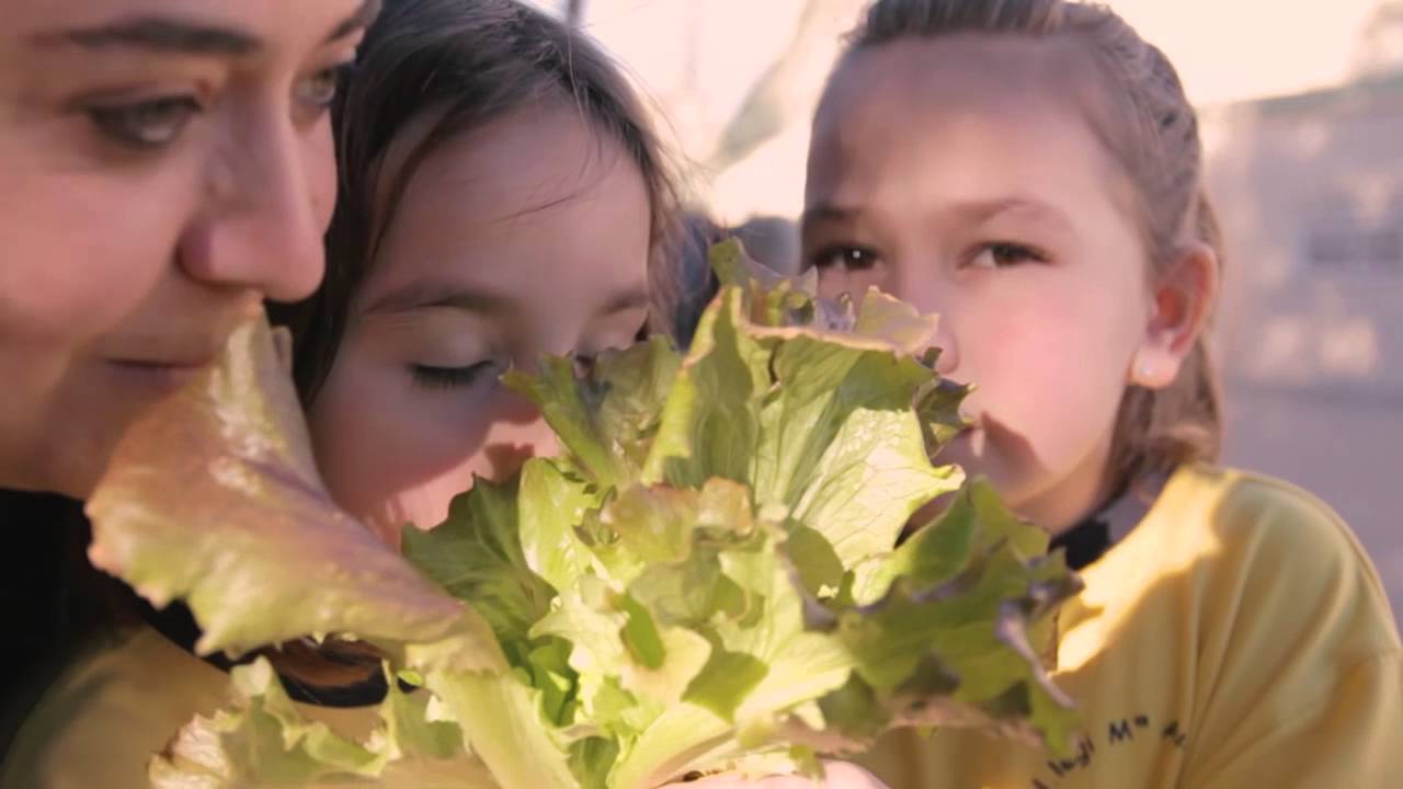 Escola Maria Auxiliadora - Salesianes Terrassa