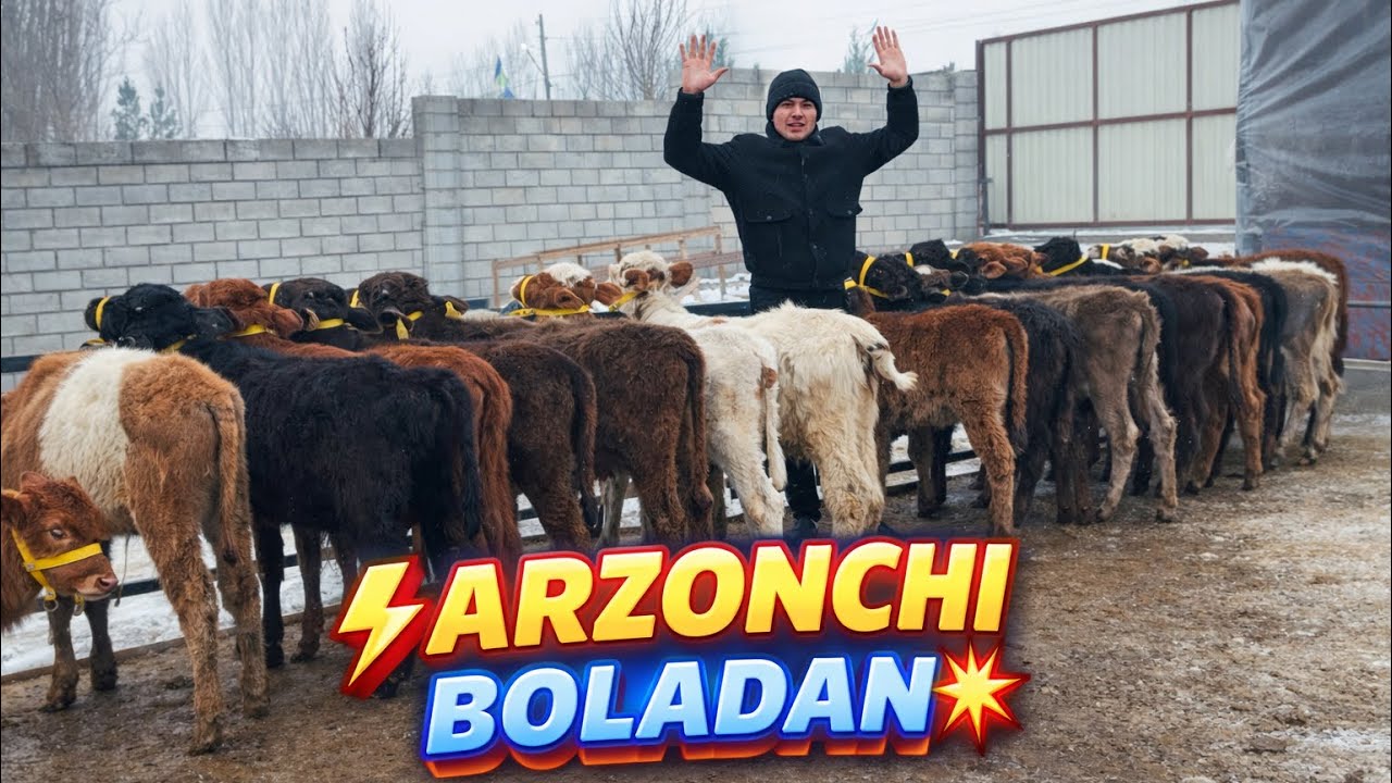 👁️MANA SIZGA NARH SINDRISH RAQOBAT BOLIP TASHLADI OLISHGA ULGRIP QOLIG 2026_03–mart.