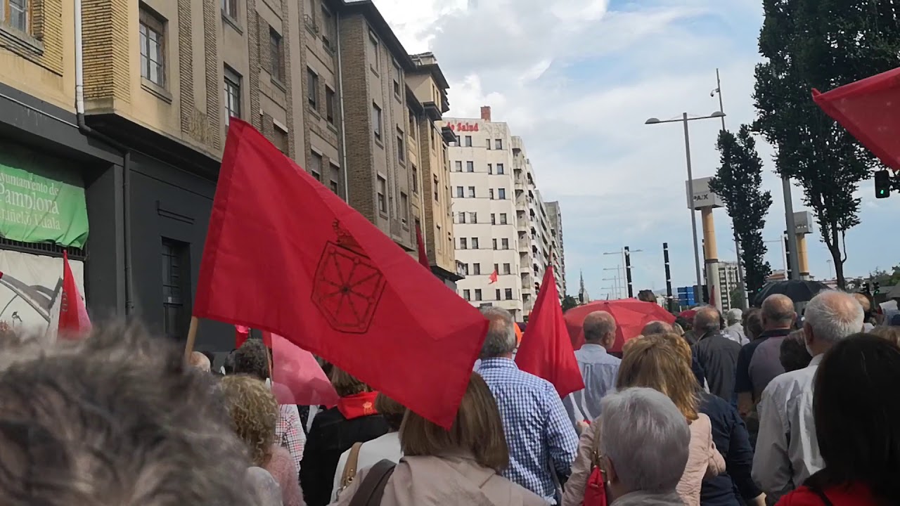 2 junio en Pamplona, sacan una ikurri&ntilde;a en la manifestaci&oacute;n contra la imposici&oacute;n del euskera