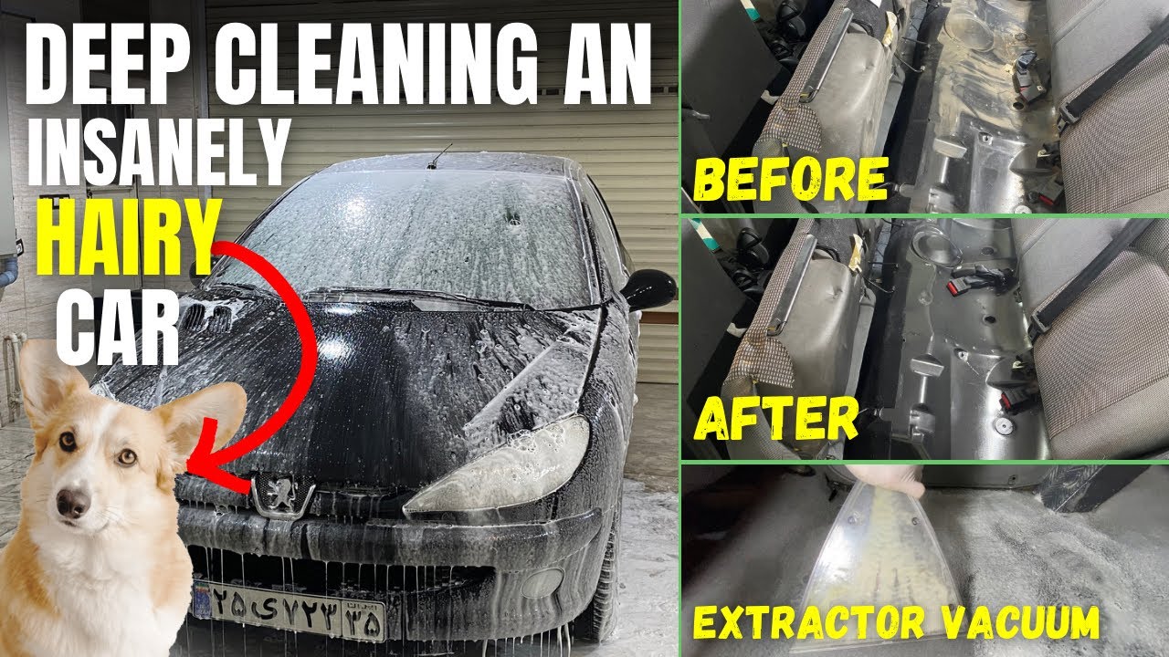 Deep cleaning an INSANELY hairy car. | PEUGEOT 206 |