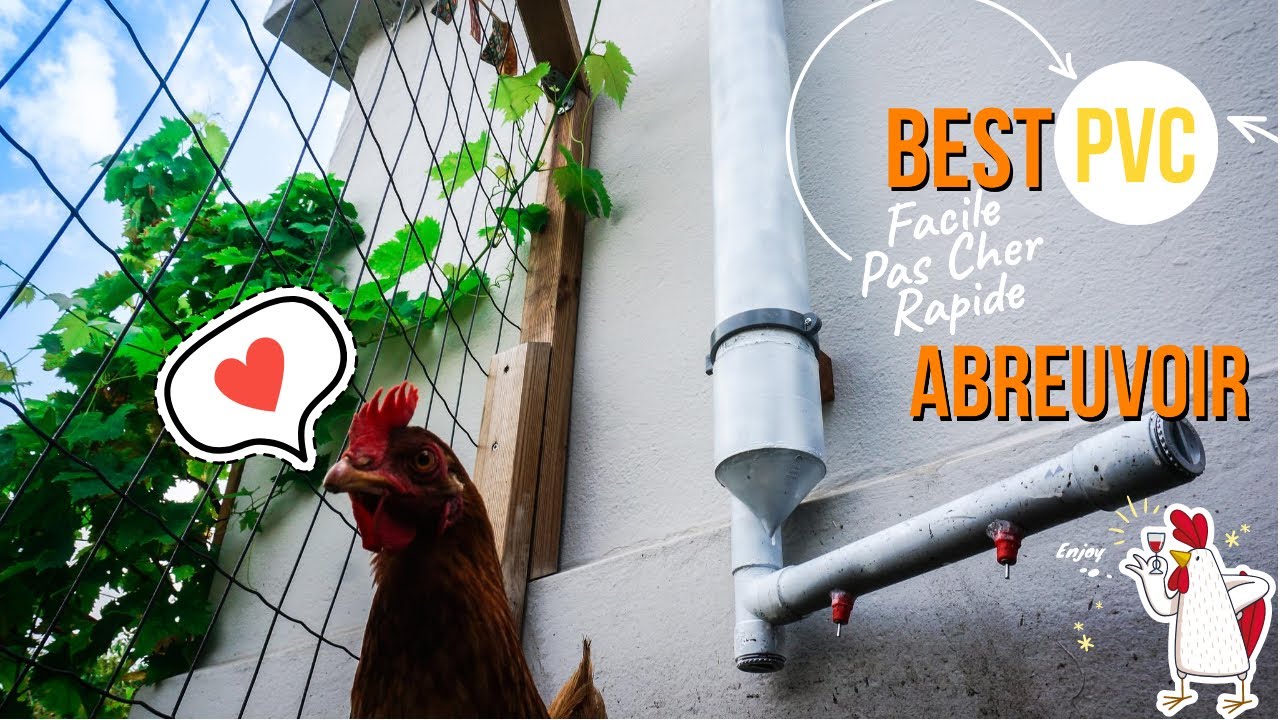 🐓 Comment FABRIQUER un ABREUVOIR pour POULES en PVC ?