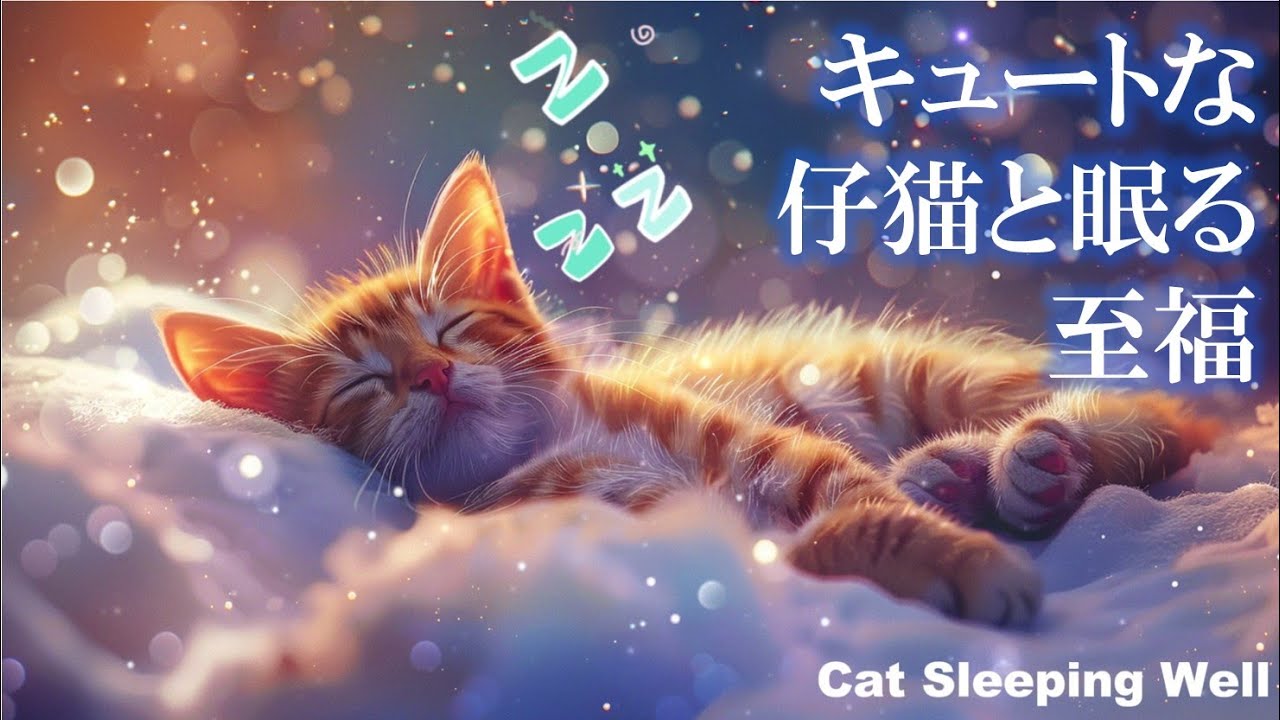 【Healing Music】夢見る猫と癒しLOFI｜キュートな猫と寝落ちする至福