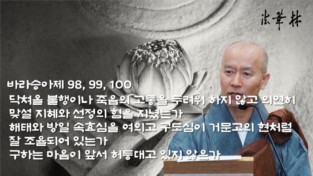 법문 [바라승아제 98, 99, 100] 구하는 마음이 앞서 허둥대고 있지 않은가