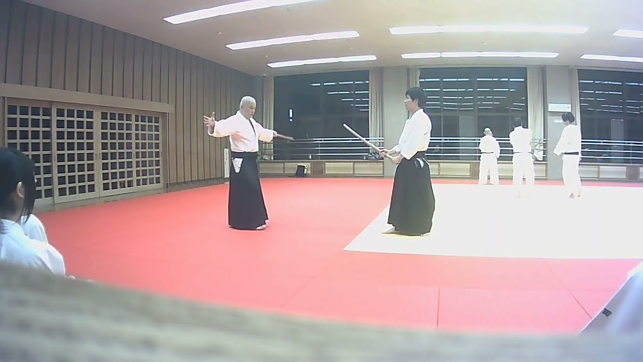 合氣道八和会　二の太刀
