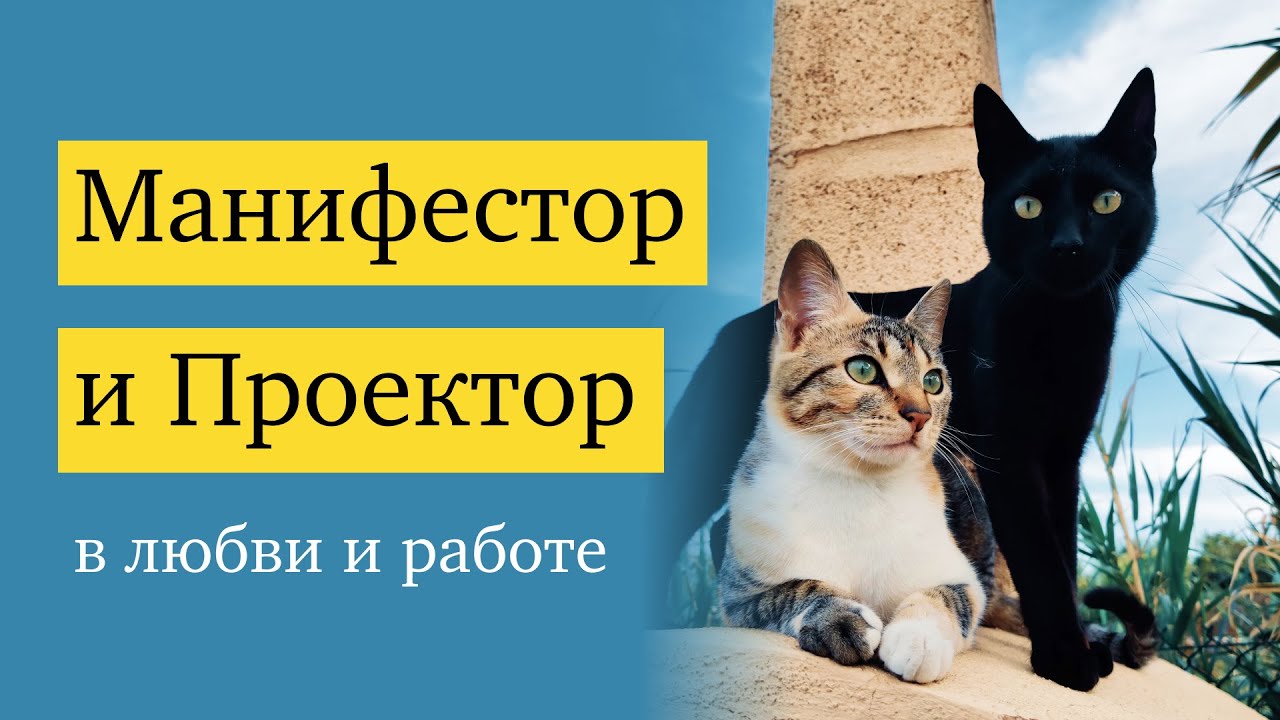 Манифестор и Проектор: взаимодействие в любви и работе