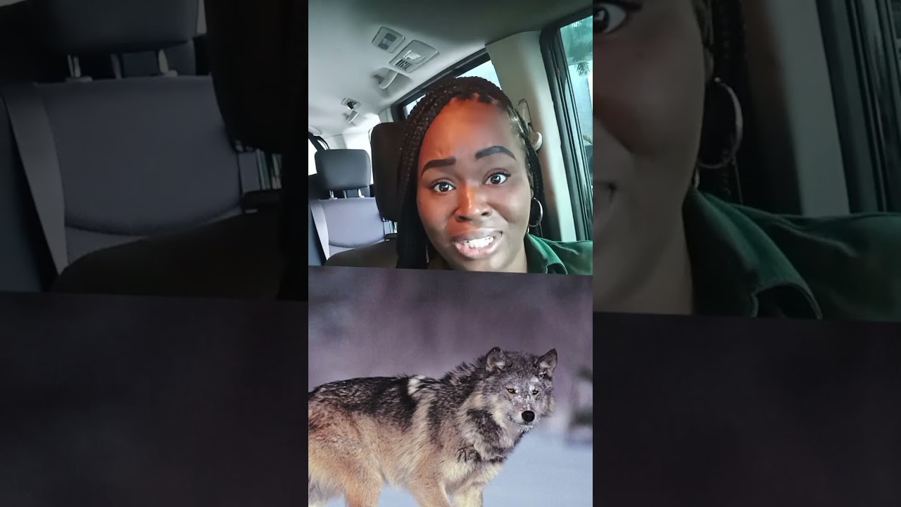 Dont waste no time. Cut off immediately.