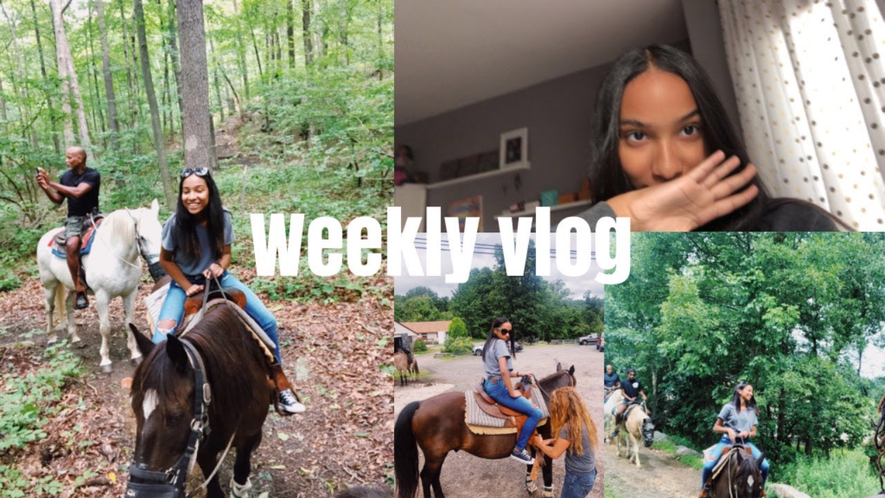 VLOG | appointments, horseback riding, haul