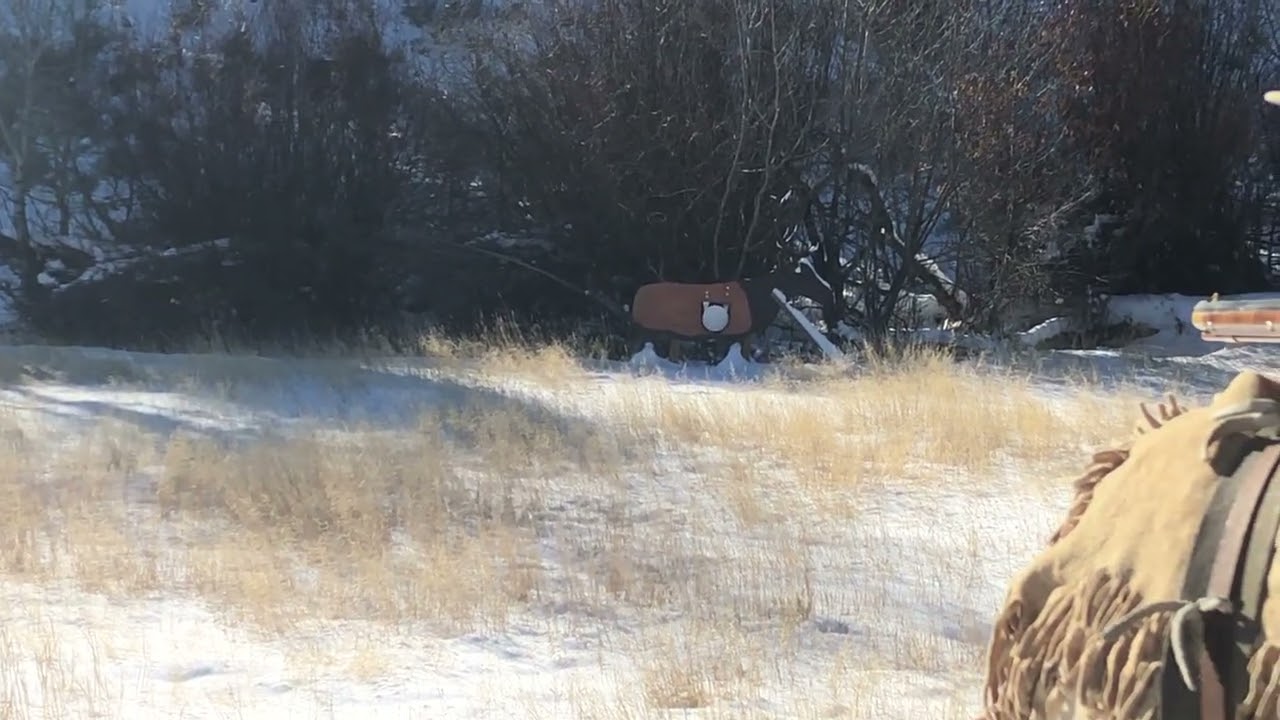 Bruce on an elk target