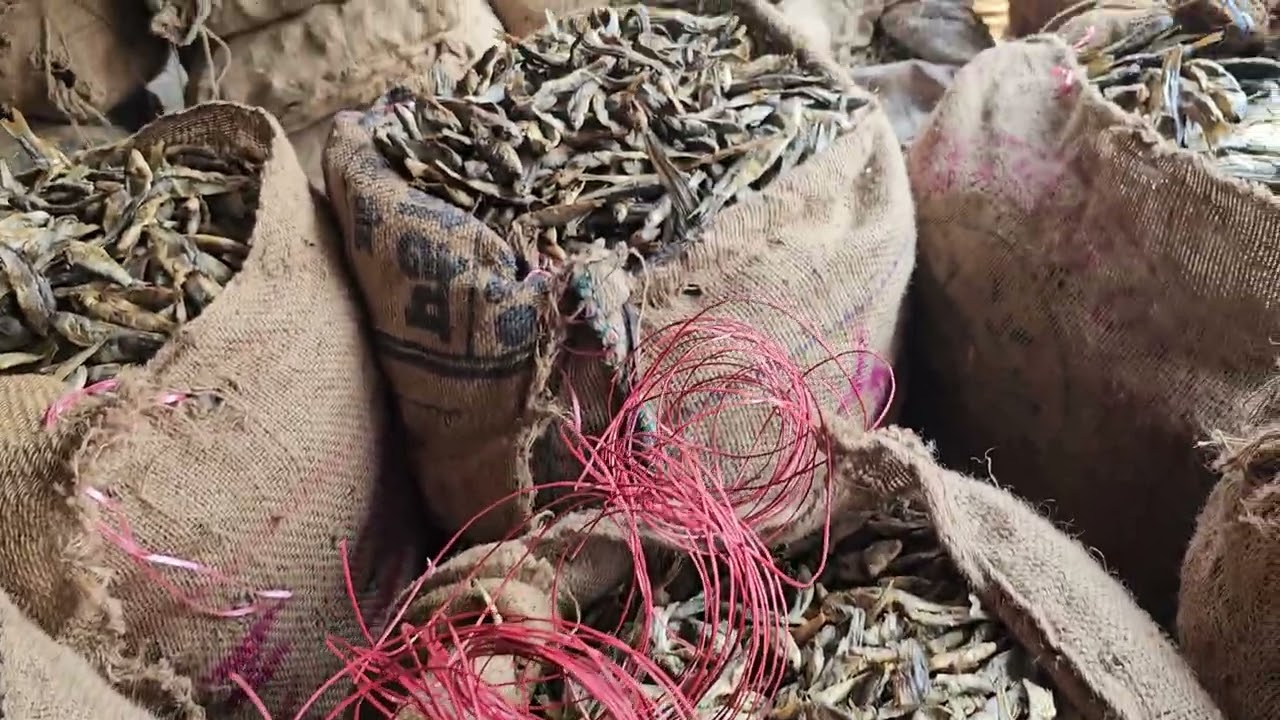 Suman sahani dry fish market jagiroad assam