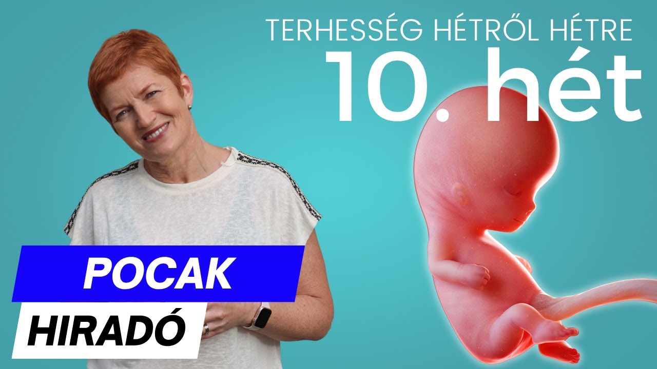 Terhesség 10. hete ∣ Terhesség hétről hétre
