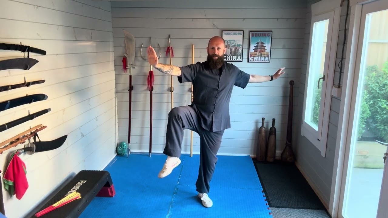 Beginner 10 Tai Chi Moves - whole sequence 