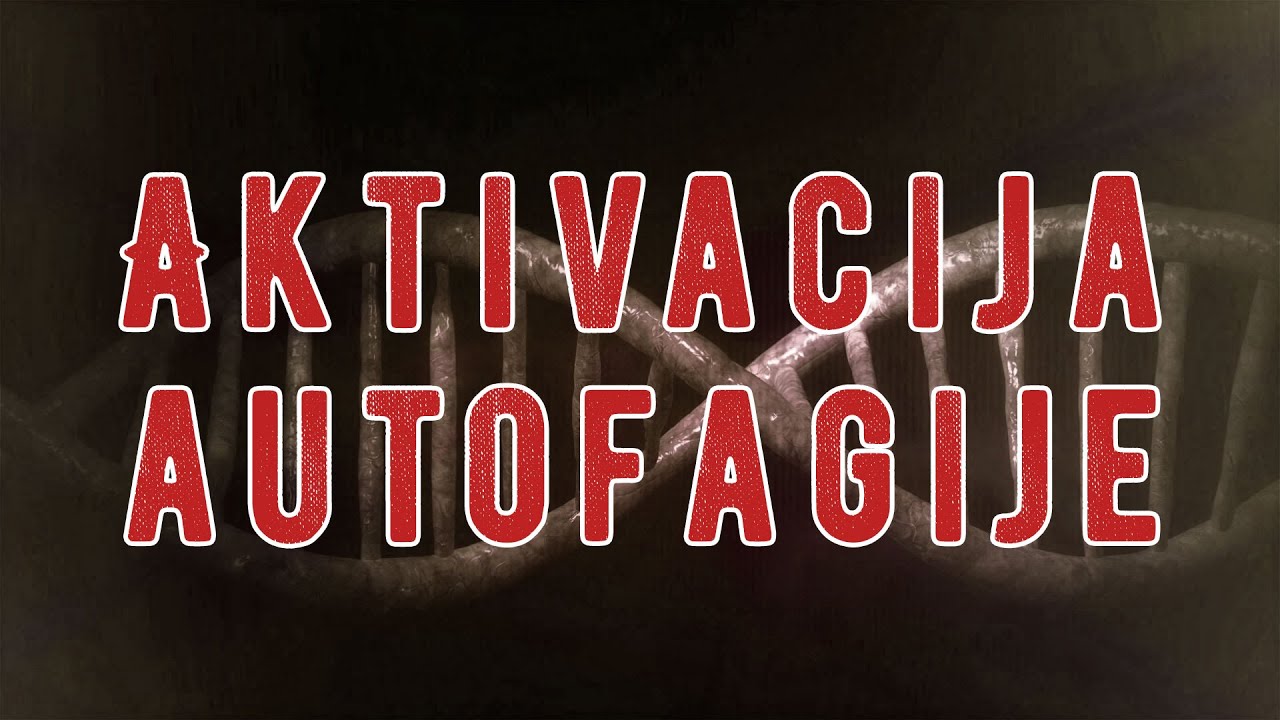 Kako se aktivira autofagija?