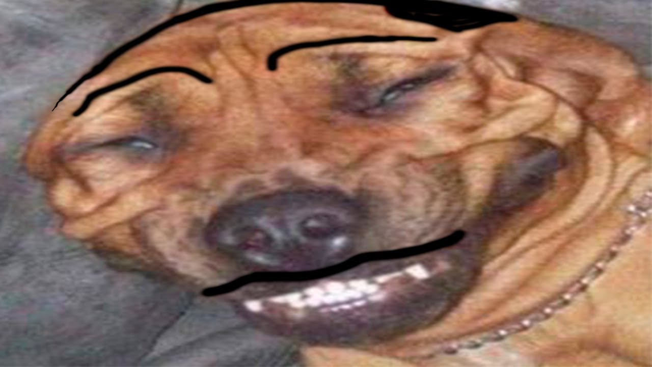 MEMES BAKI V1