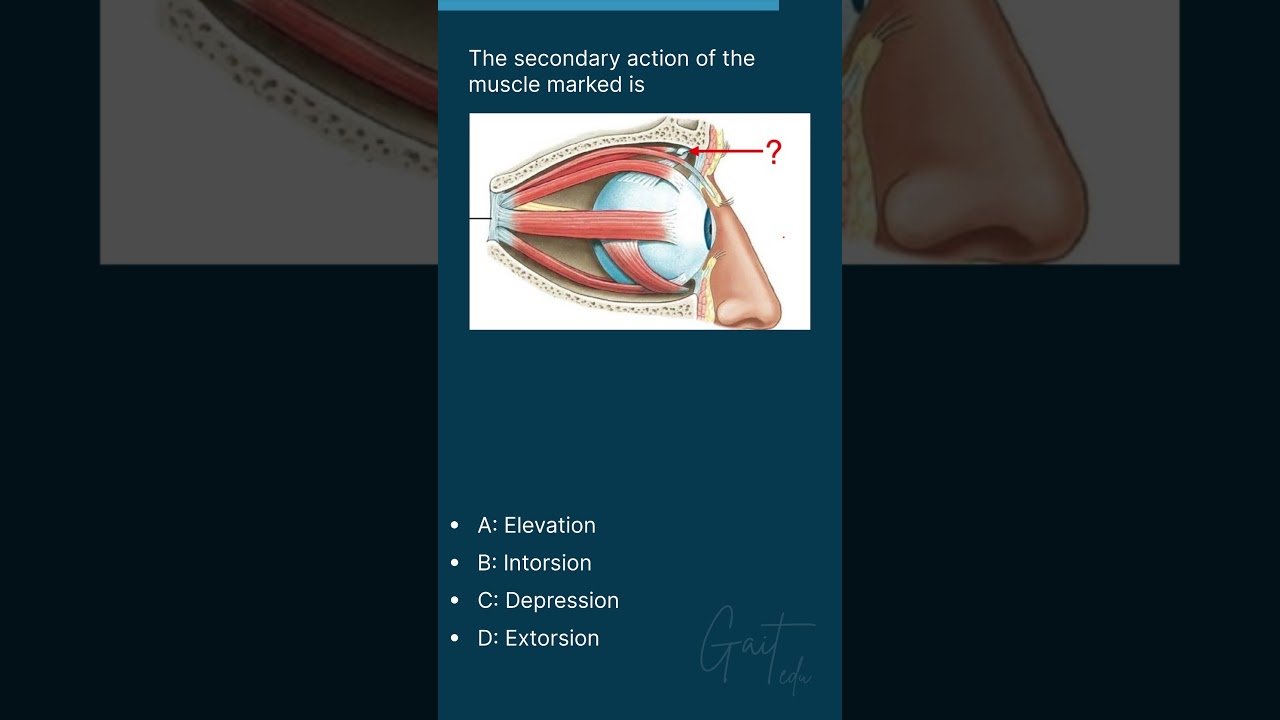 GaitEduOfficial| Ophthalmology MCQ | MBBS | NEET PG | INICET