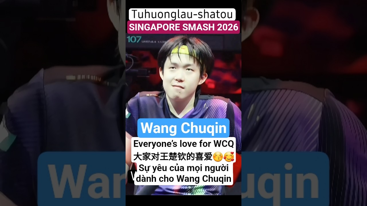 A140-2-Everyone’s love for Wang Chuqin #wangchuqin#王楚钦#datou#wttsingaporesmash#tuhuonglaushatou