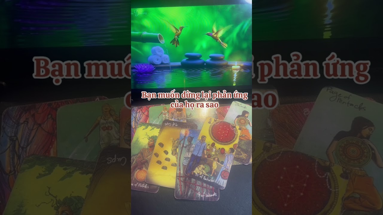 Bạn muốn dừng lại phản ứng của họ ra sao #phongthuy #tarot #thongdieptarot