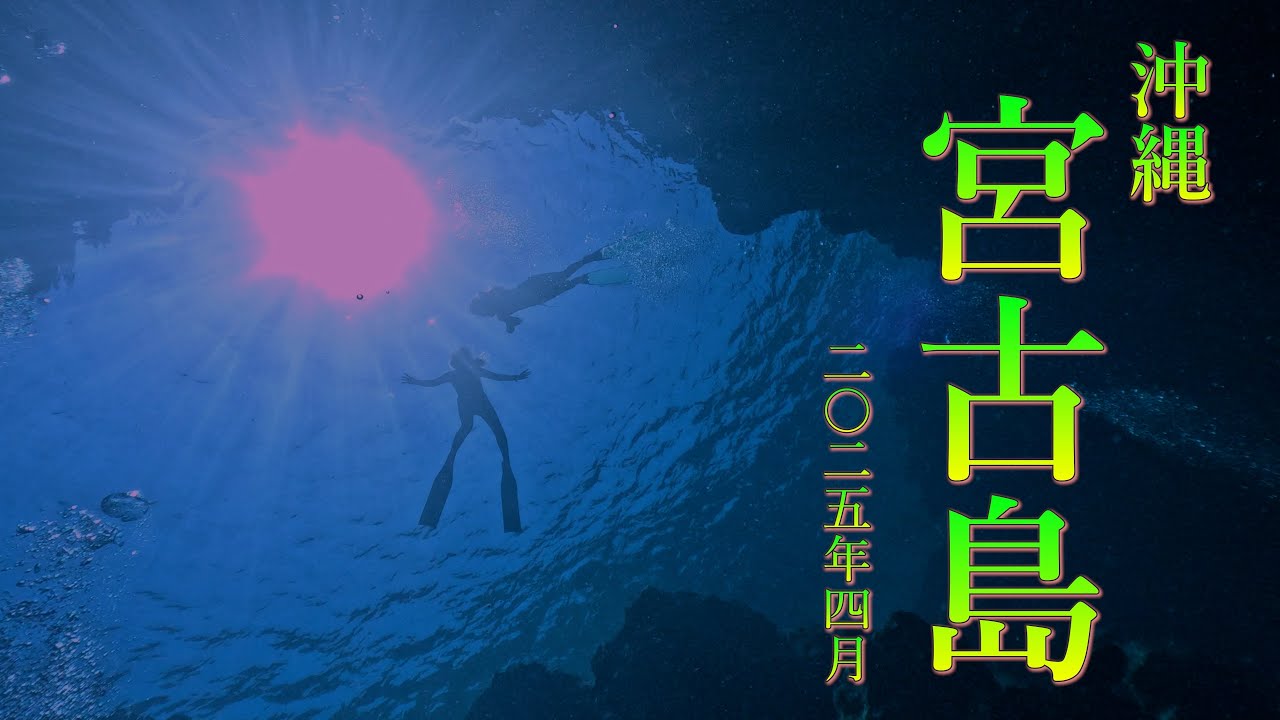 2025年GW 宮古島ダイビング