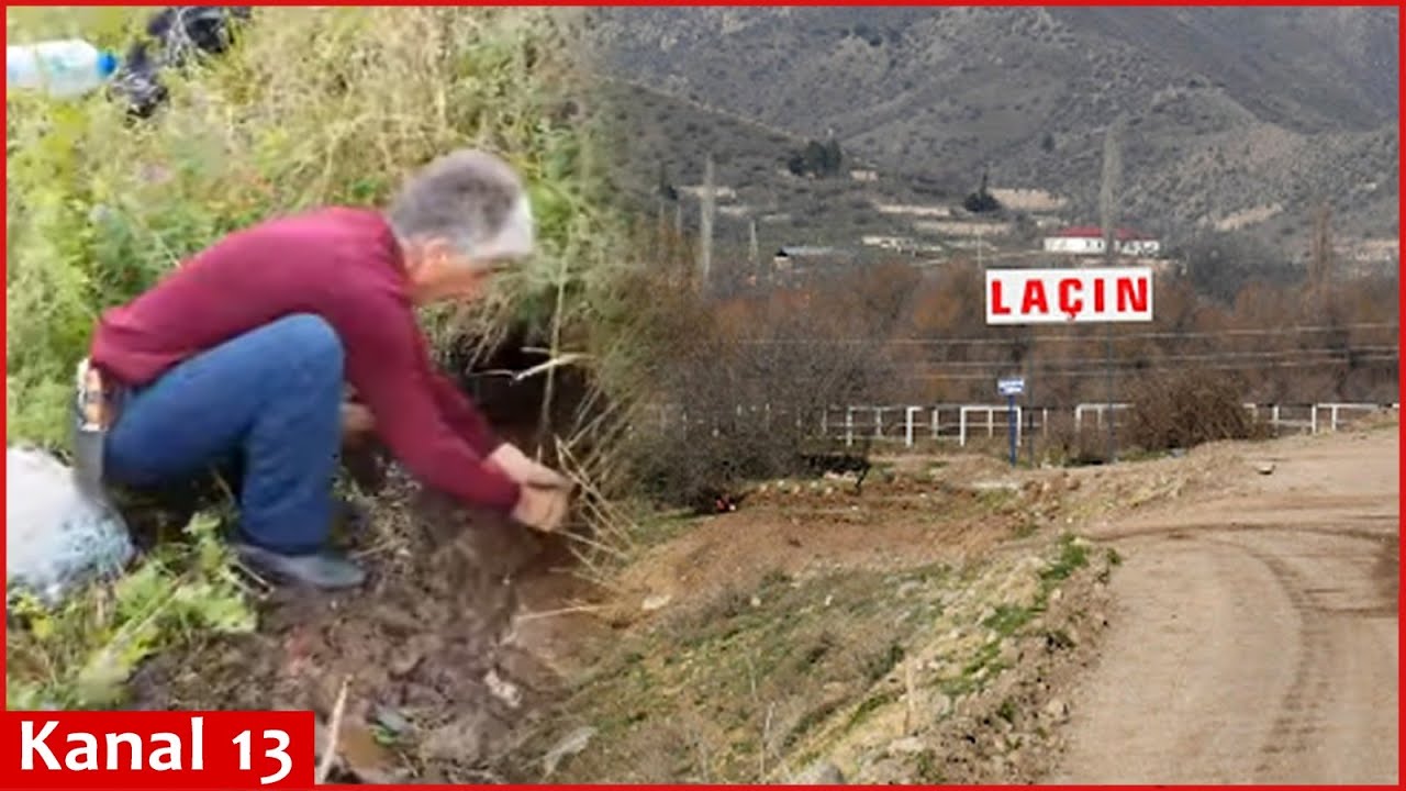 Laçının Ərikli kənd sakini 29 ildən sonra yaylaqdakı  İTMİŞ BULAĞI TAPIR