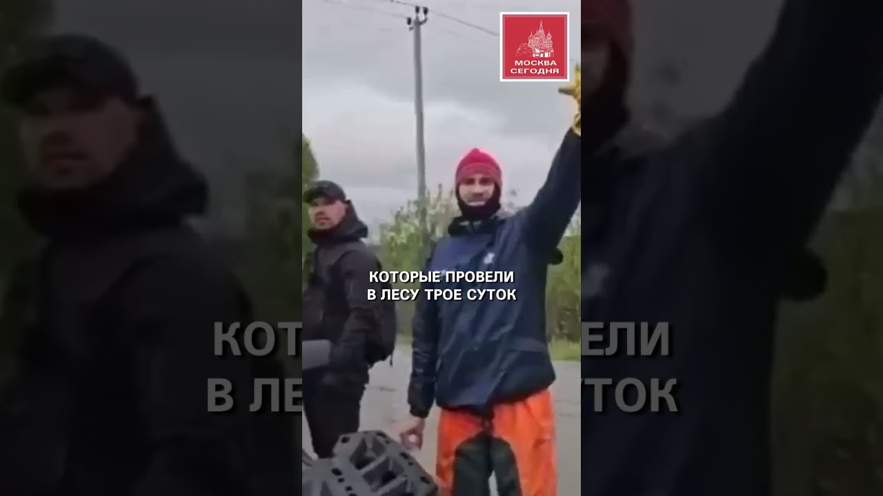 Потерявшиеся в лесу дети спасены #rescue #children #forest #search