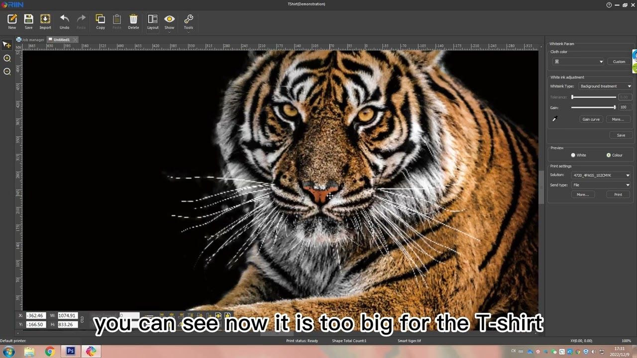 Before DTG Printing, How shall we process the image by RIP Software