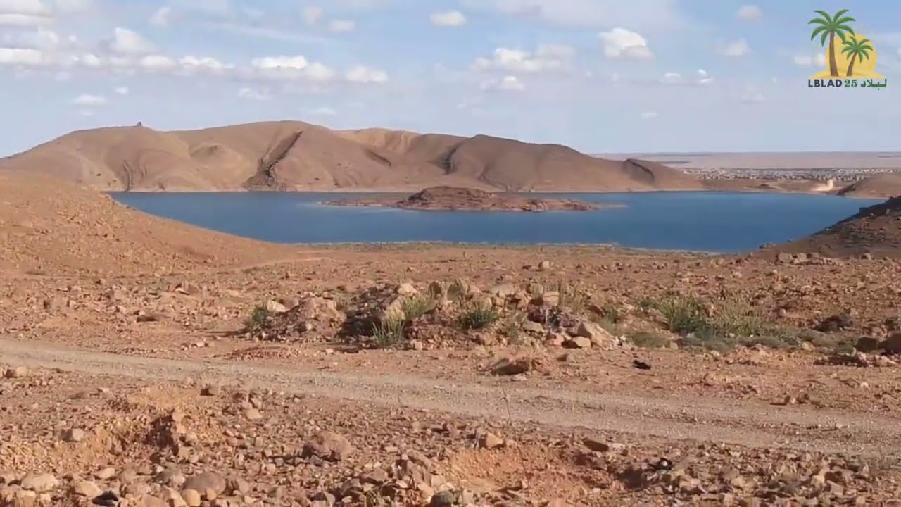 عملية التشجير المستمرة لضفاف سد الحسن الداخل بصنف الكالبتوس. أبريل 2025