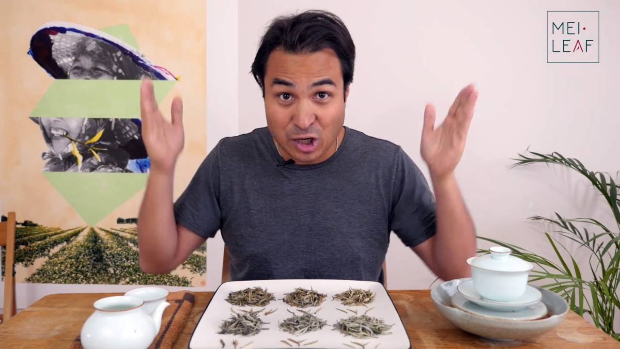 How to Choose Silver Needle Tea