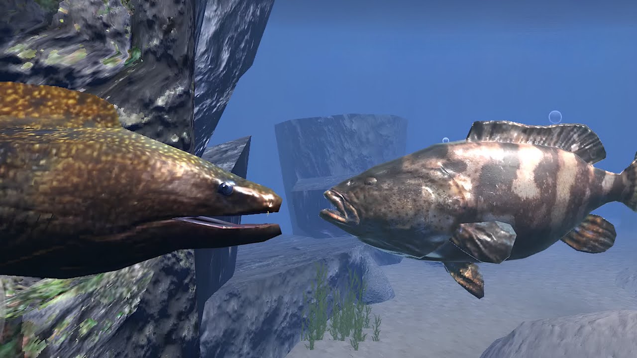 Goliath Grouper VS All Boss - Ultimate Ocean Simulator (By Gluten Free Games)
