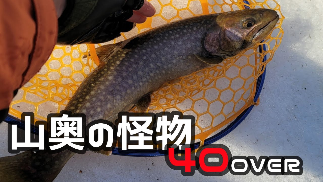 【渓流ルアー】土管の中から凄いの出た！
