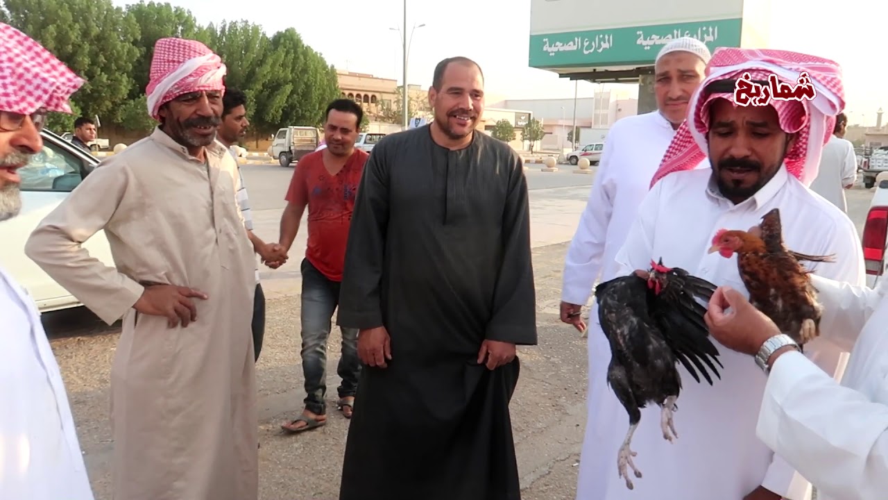 سوق الخضار بعنيزة   حراج يوم الجمعة 4/  10/  1440هـ