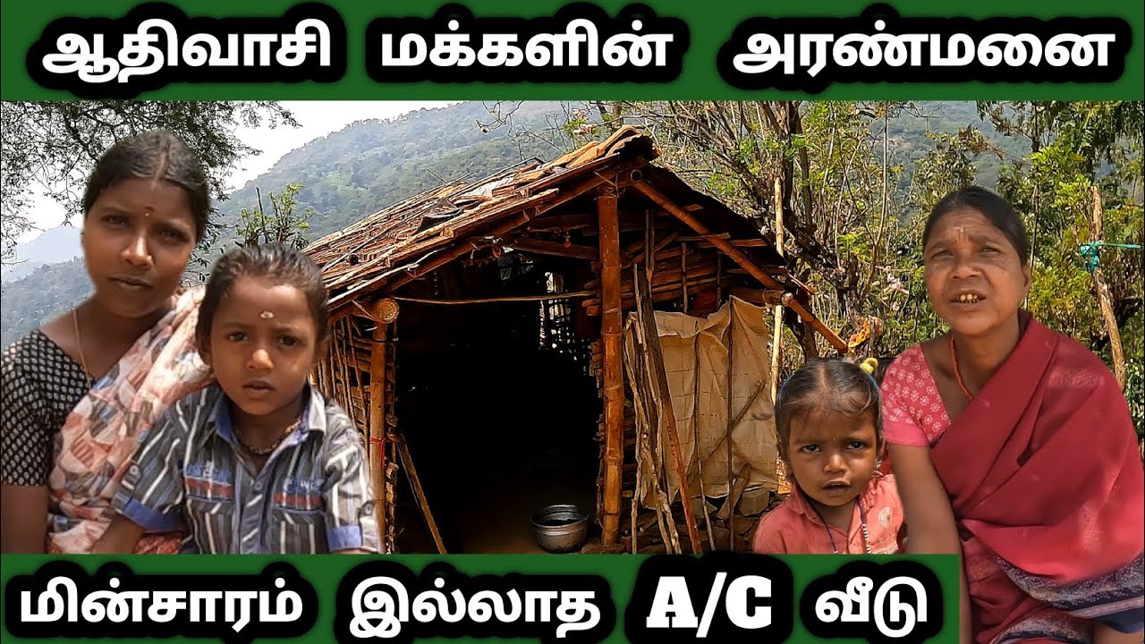 மின்சாரம் கூட இல்லாமல் விலங்குகள் வாழும் காட்டில் இருட்டில் வாழும் ஆதிவாசி பழங்குடி மக்கள் 