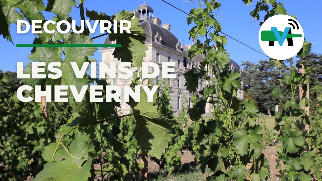 À la découverte des vins de Cheverny