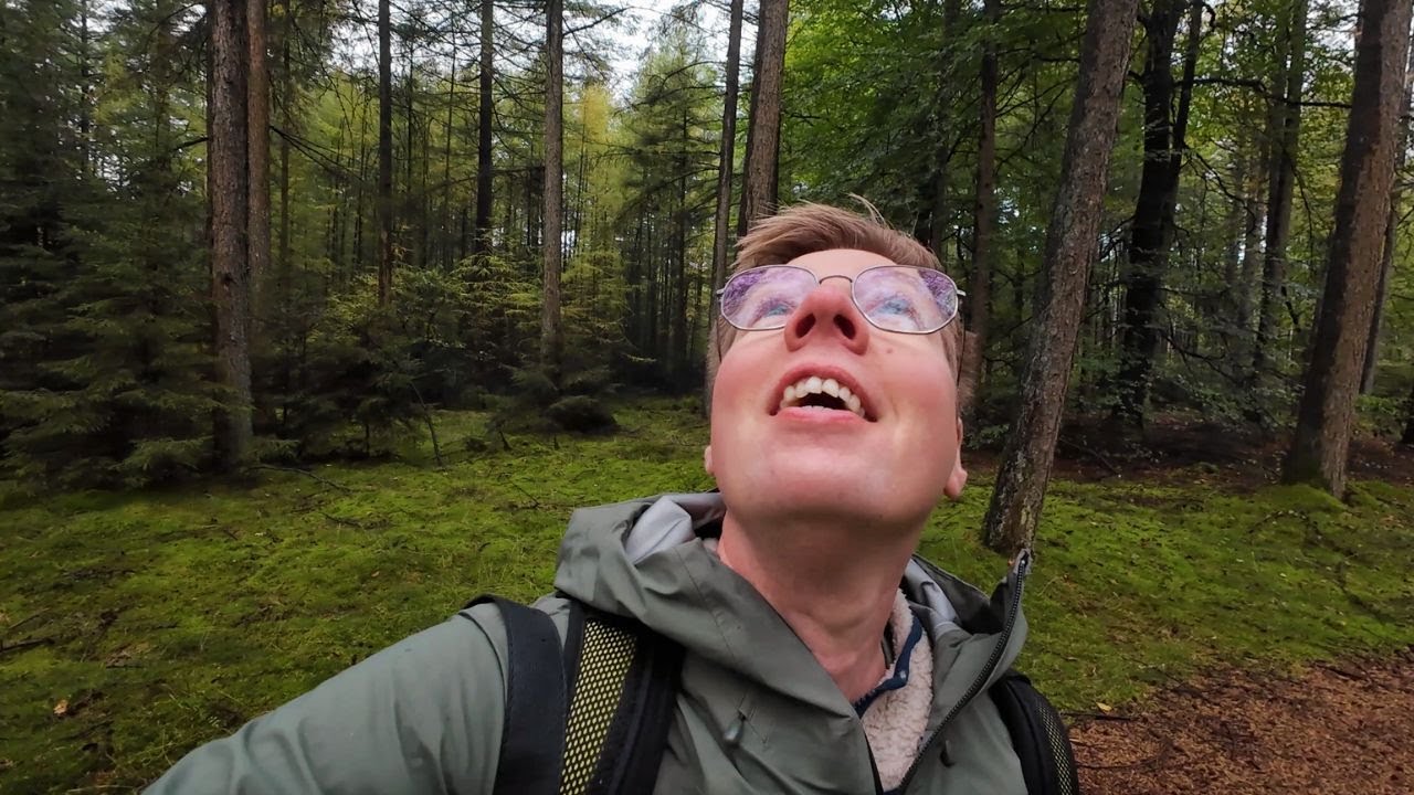 Herinneringen, nadenken over... en wat doet wandelen met mij? | Herfstwandeling op de Hondsrug