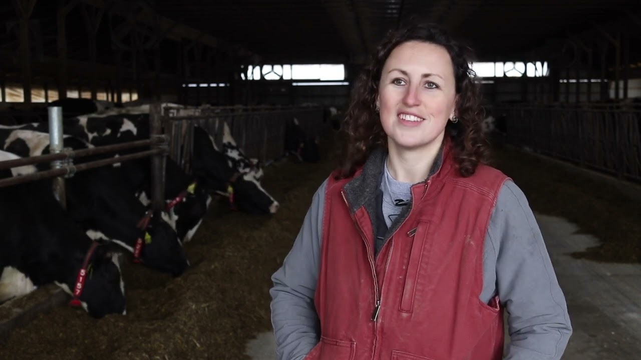 K&K Dairy Farms transitions from a parlor to robotic milking system