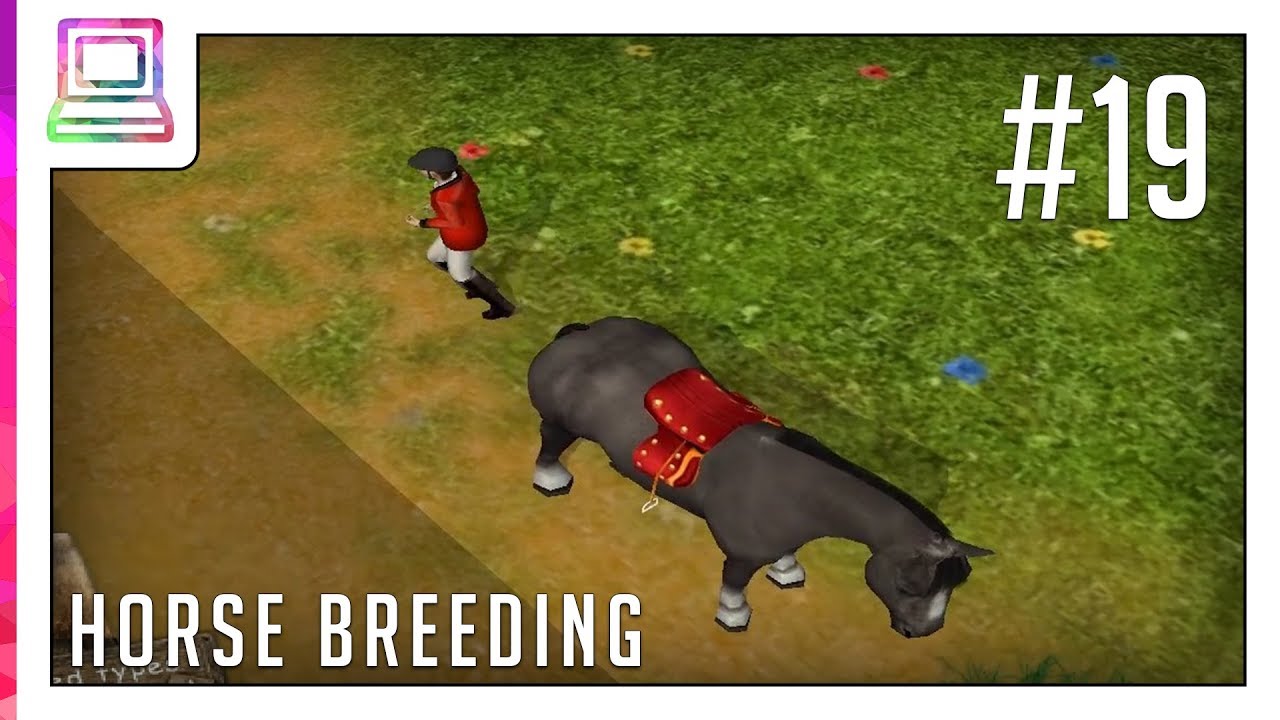 My Riding Stables - Stable Manager (part 19) (Horse Game)
