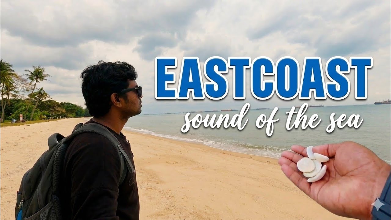 🇸🇬 Singapore sea. #eastcost  මුහුදේ සද්දය ! 🇱🇰 🌹#dribevol #dji #singapore #dreamscometrue 