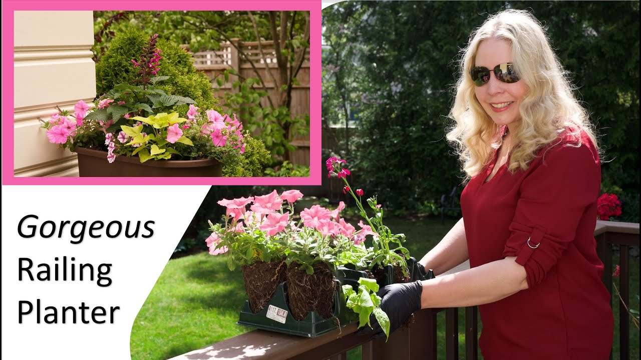 Planting a Railing Planter with Gorgeous Flowers