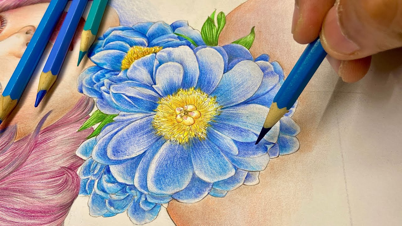 LIVE - Tutorial Pintura de flor azul com lápis de cor I Márcio Graff