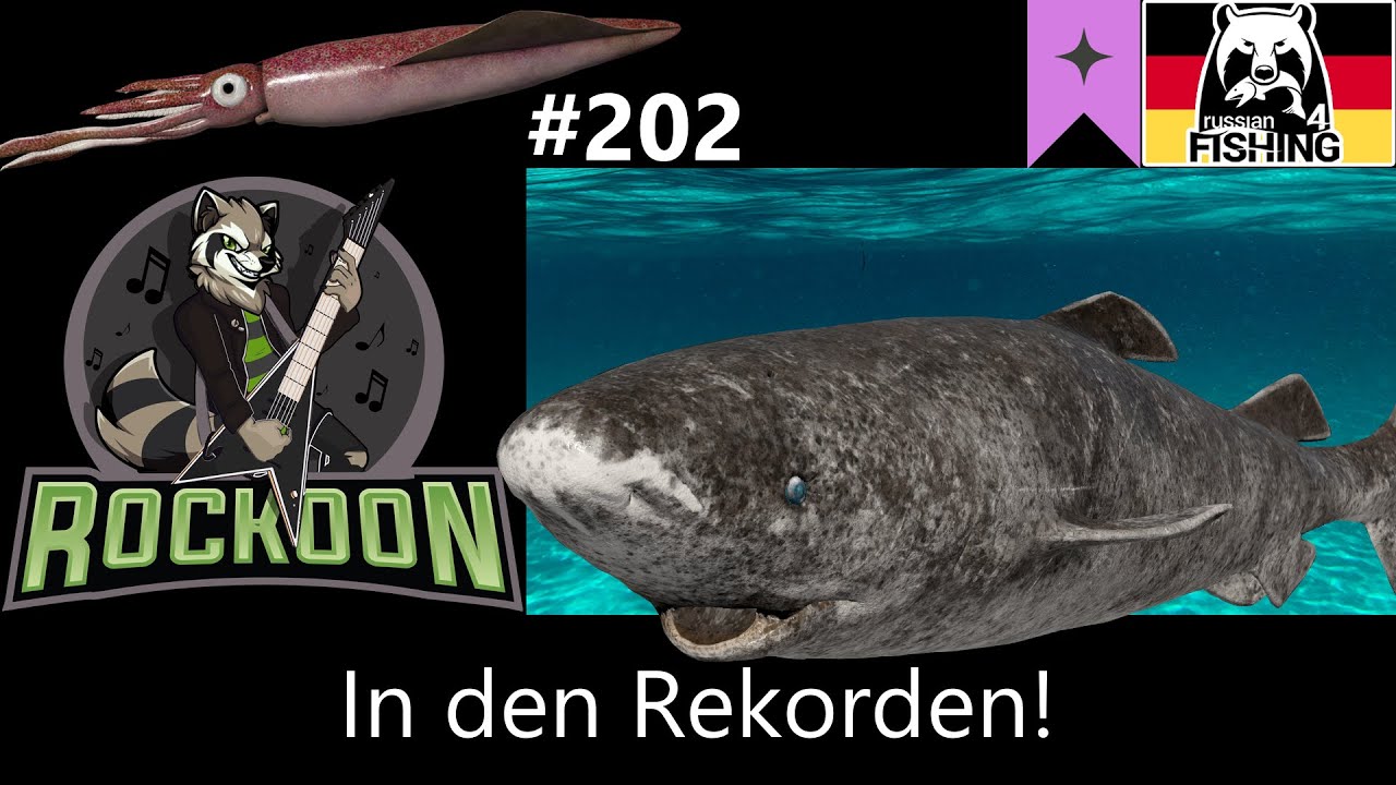 Angeln mit Rekordködern | Europäisches Nordmeer | Russian Fishing 4 | #koontainment