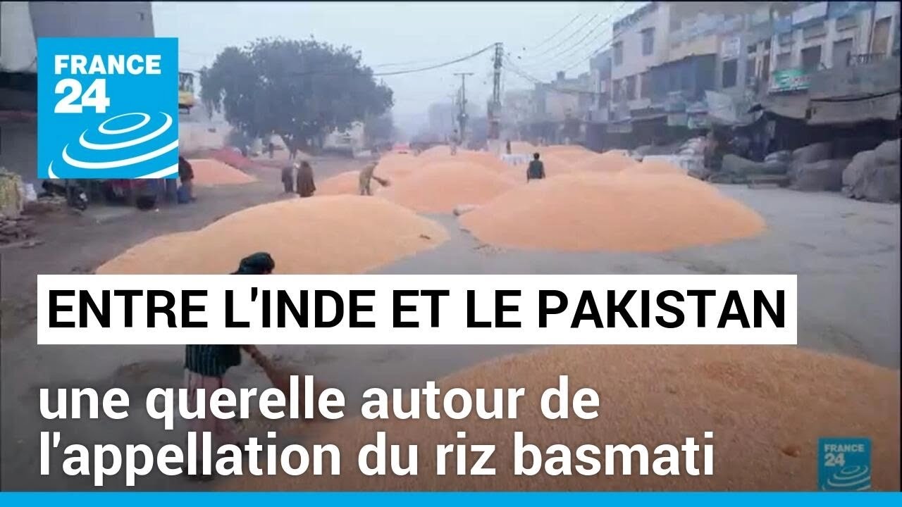 D'o&ugrave; vient le riz basmati ? : l'Inde et le Pakistan se disputent l'appellation du f&eacute;culent