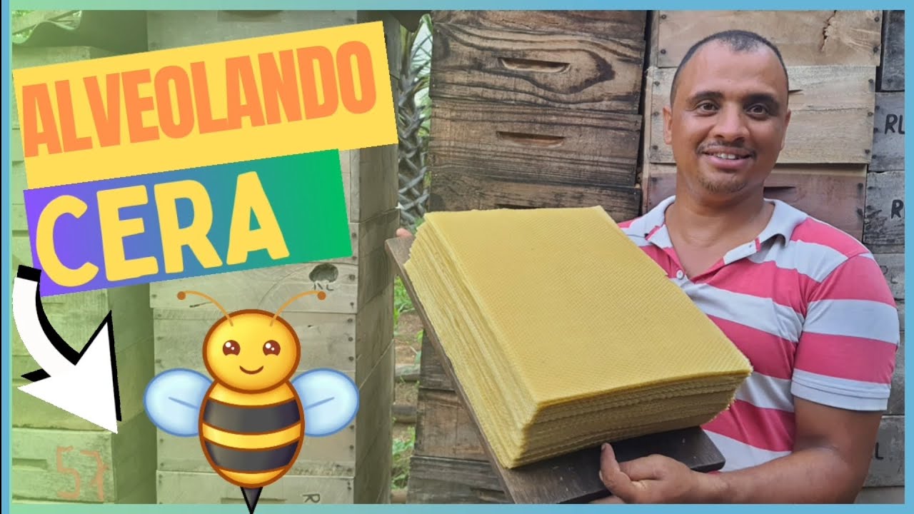 Como laminar e alveolar cera de abelha