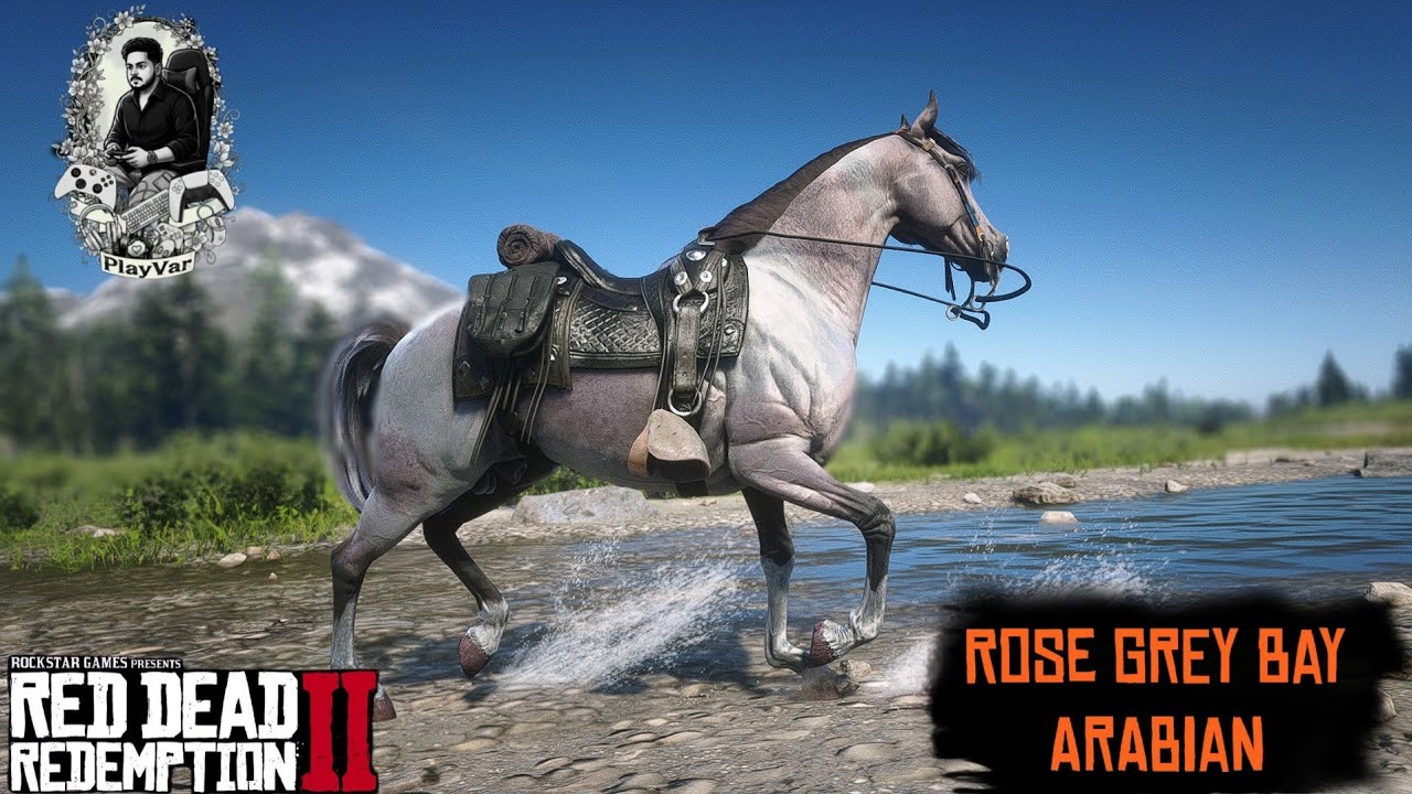 Red Dead Redemption 2 : Legendary Rose Grey Bay Arabian Horse Location & Guide 🐎 | 2026 |