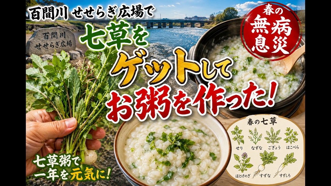 【新年1発目　河川敷で採取した野草で七草粥】