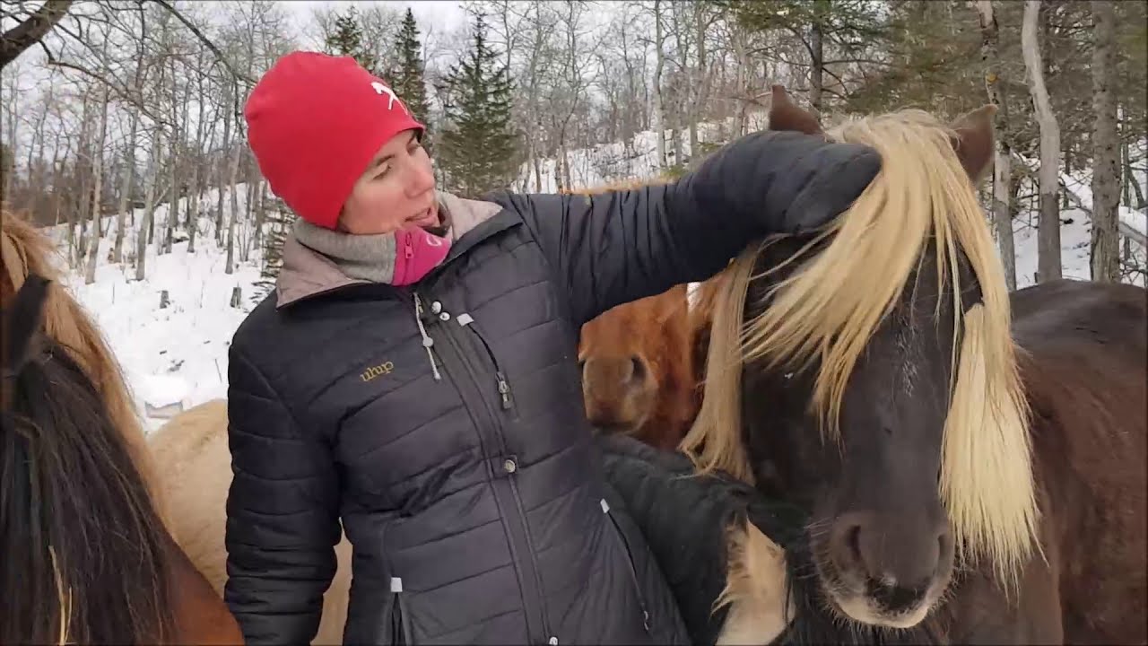 Rebecca Krogh Strøm vlog1 - Presentasjon